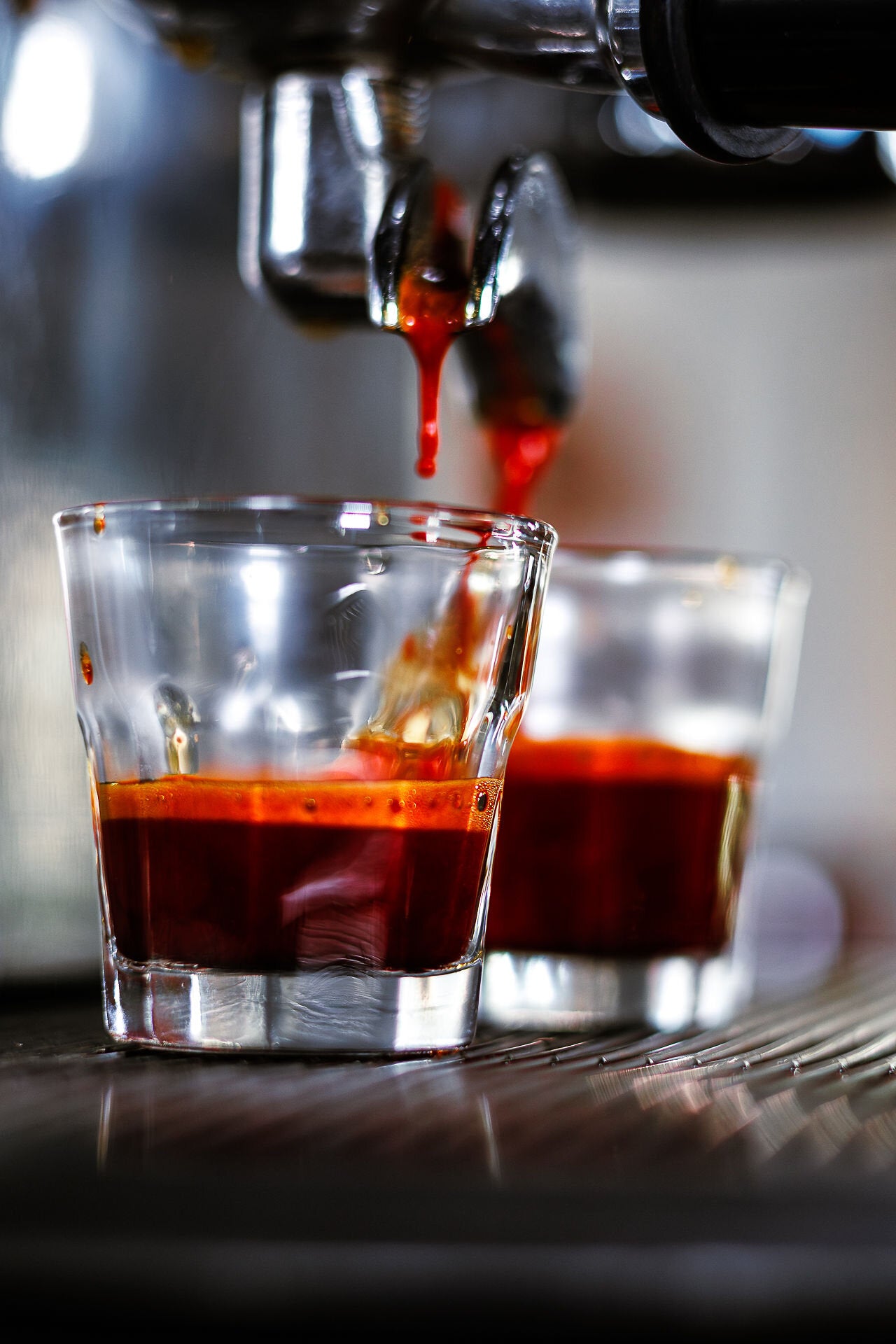 Rooibos preparation step 1